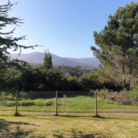 Elephant Country Guest House The Crags Εξωτερικό φωτογραφία
