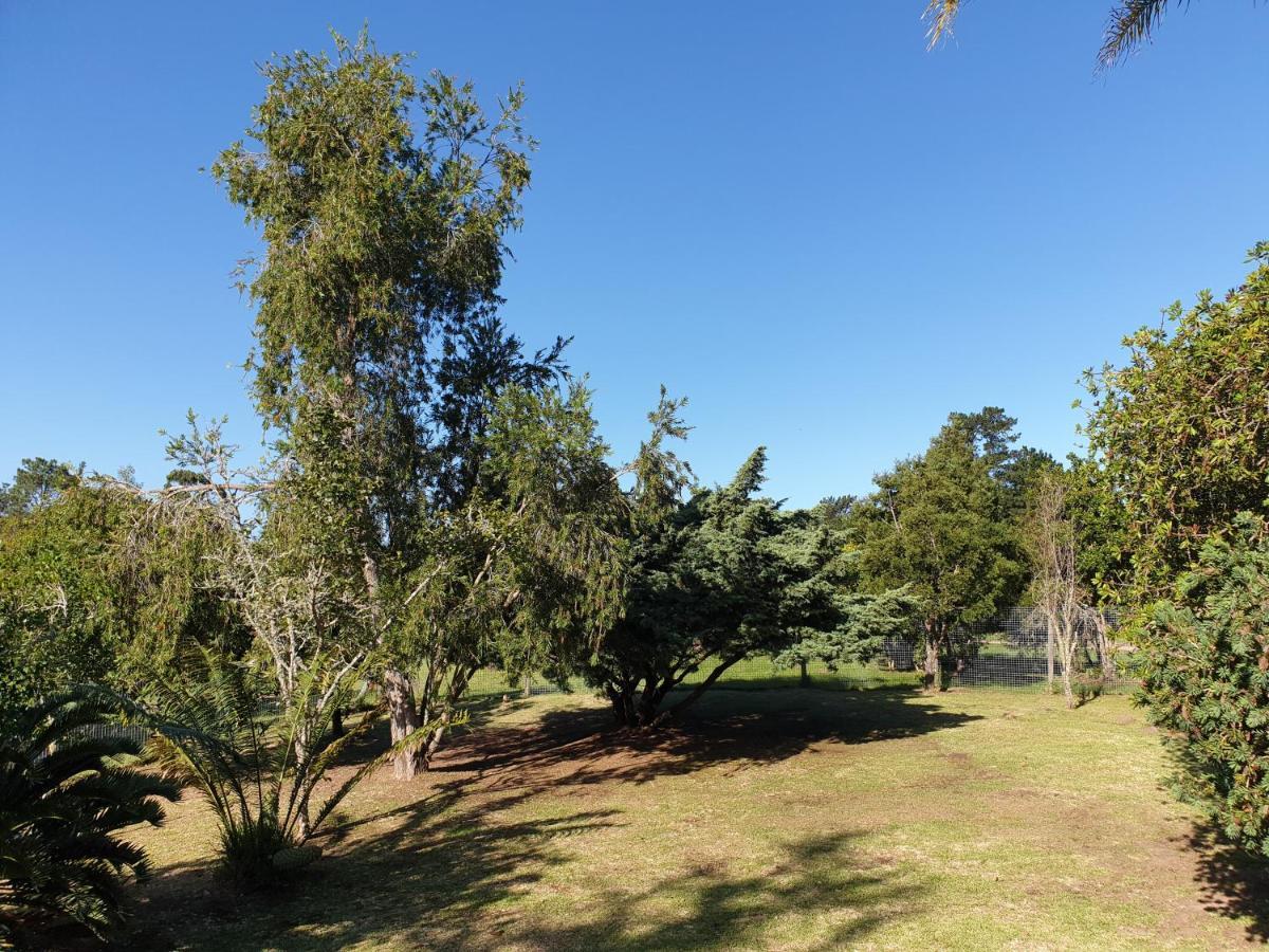 Elephant Country Guest House The Crags Εξωτερικό φωτογραφία